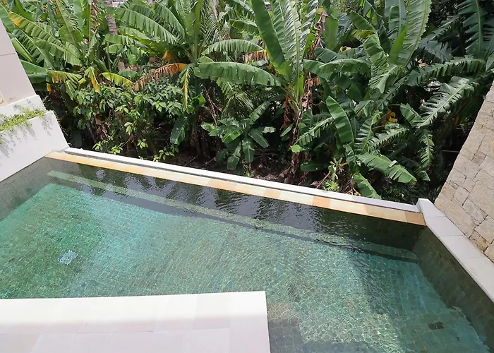 Modern Designer Canggu, Private Pool, Ricefield Views, Family And Group Villa Denpasar (Bali)